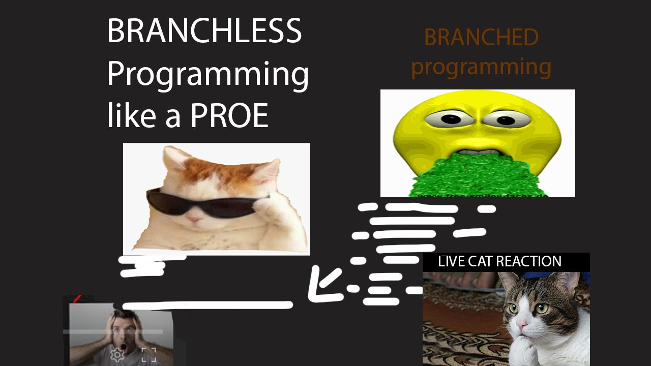 What is Branchless Programming? How to do it like a proe!