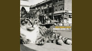 Music video thumbnail preview for Hot Rod Hotel by Wilco