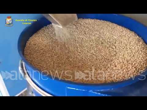 Livorno, maxi operazione antifrode e sequestri per oltre 6 milioni di euro