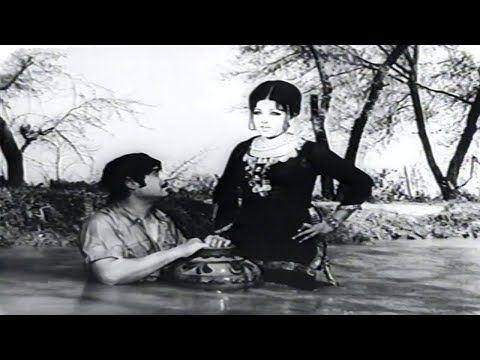 Teere Sadqay Ve Jee Dara | Noor Jehan | Superhit Lollywood Song | Film Khatarnak | Neelo