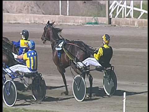 Trotto 29/04/2017 - 4ª corsa