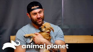 Lee Asher Fosters a New Puppy! | My Pack Life | Animal Planet