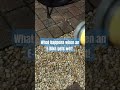 What happens when an E-bike gets wet!