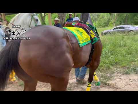 Trump My Record vs Nuevo Coronel Rancho El Centenario 8 De Mayo 300y