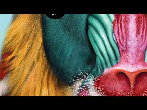 Safar (FR) feat. Dikla Hackmon - Thousand and Two Nights (Paso Doble Remix)