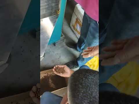 Cotton Seed Delinting Machine - Cotton Seed Delinter Latest Price ...