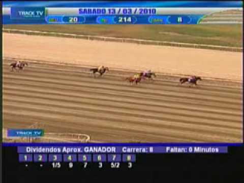 Resumen 13 de Marzo 2010 - La Rinconada