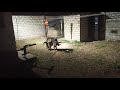 German Shepherd Dogs Mating