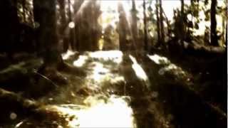 Silvio Rodríguez - ¿A dónde van?