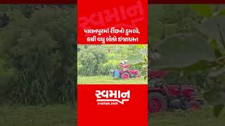 Download lagu પાલનપુરમાં રીંછનો હુમલો, 6થી વધુ લોકો ઇજાગ્રસ્ત mp3