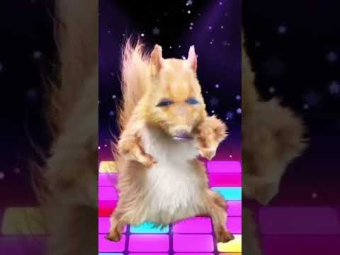 #🙏💞thummak thummak💞 #