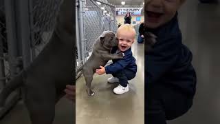 “l Can’t Stop Rewatching These😂”#sahm #babeereshinee #momlife #usa🇺🇸 #fyp