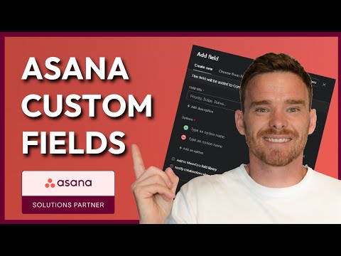 Asana Custom Fields: Beginners Guide