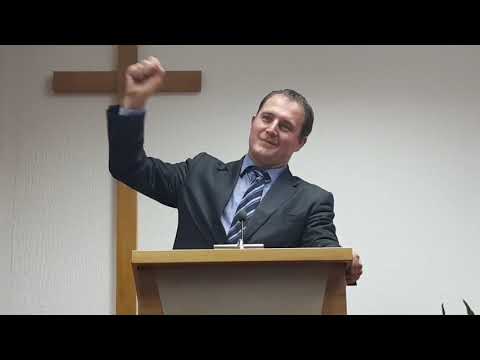 Zoran Sudarevic - propoved