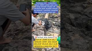 Download lagu 🔴Kang Dedi Mulyadi‼️please help make this go viral mp3