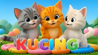Download lagu LAGU ANAK 🇮🇩 ANAK KUCING MEONG MEONG - KITTEN SONG - LAGU ANAK BALITA VIRAL mp3