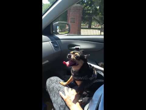 Chico Santana is hot