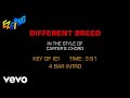 Carter's Chord - Different Breed (Karaoke)