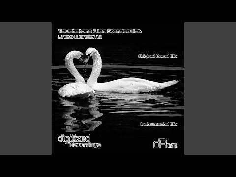 She's Wonderful (Original Vocal Mix)