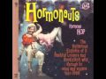 The Hormonauts - She'll Be My Baby