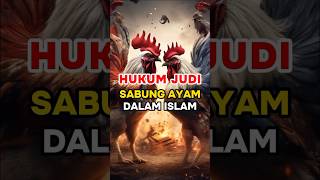 Download lagu Hukum judi sabung ayam dalam islam #storymuslim mp3
