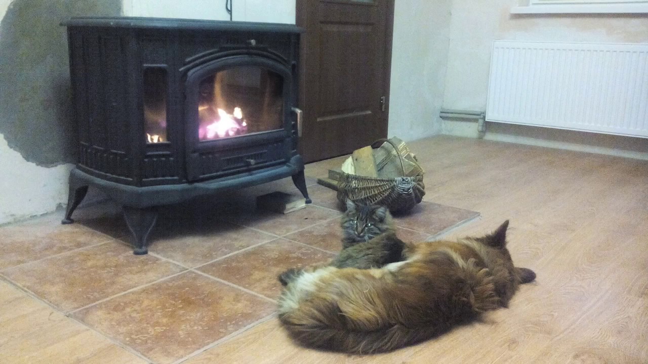 Печь Камин Кратки Коза Купить