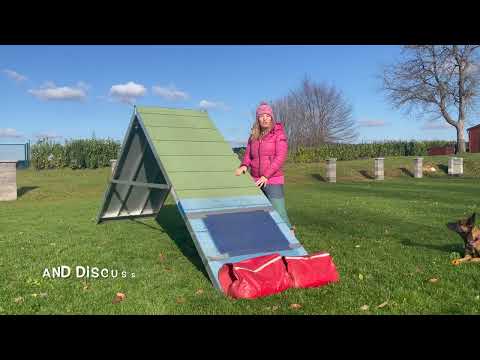 FUNtastic A-FRAME running contact on-line class - TRAILER