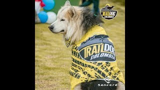 Cómo subir una MONTAÑA, BOLO AZUL