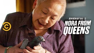 Adopting a Pigeon: Heartwarming or Just Gross? - Awkwafina is Nora from Queens