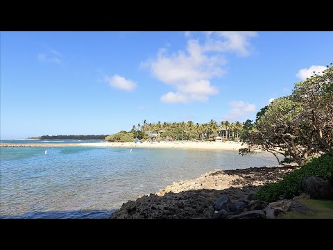 Turtle Bay Virtual Walk