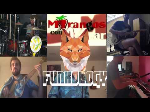 FUNKOLOGY - Verão Azul