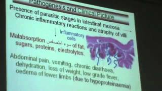 Dr Azza 11 25 11 2014   Part 2   YouTube