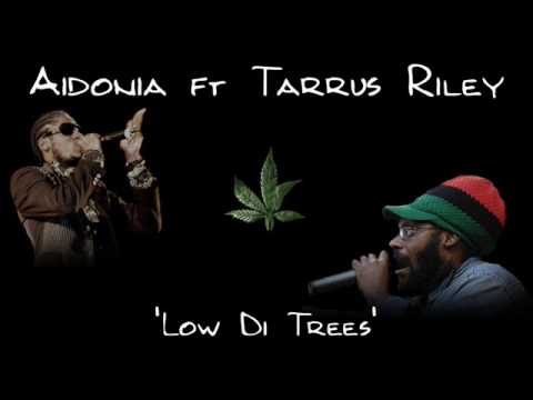 Aidonia ft Tarrus Riley - Low Di Trees