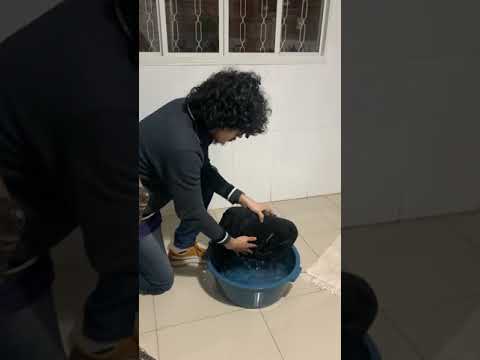 TARGUS INTELLECT 15.6" nešiojamojo kompiuterio KUPRINĖ Juodas video