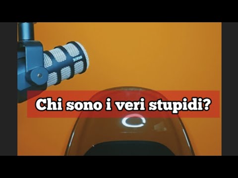 Chi sono i veri stupidi?