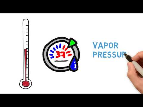 mintropy VPD explainer