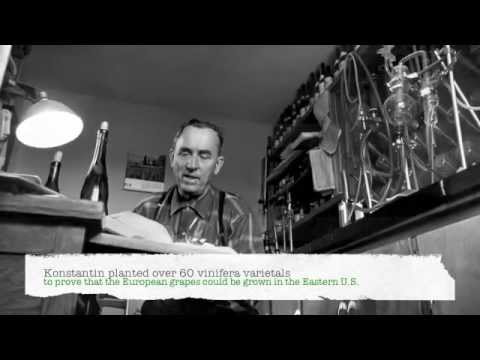 Video Timeline - 50 Years of History