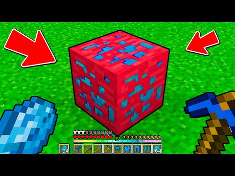 NON ROMPERE questo BLOCCO SEGRETO - Minecraft ITA