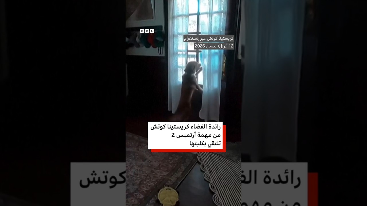 فيديو | رائدة فضاء من أرتميس 2 تلتقي بكلبتها بعد عودتها إلى الأرض