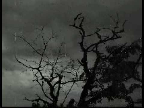 P67k - P67k - Ambient Fields (2009 - low quality)