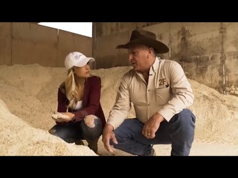 Akaushi Beef.. it's what's for dinner