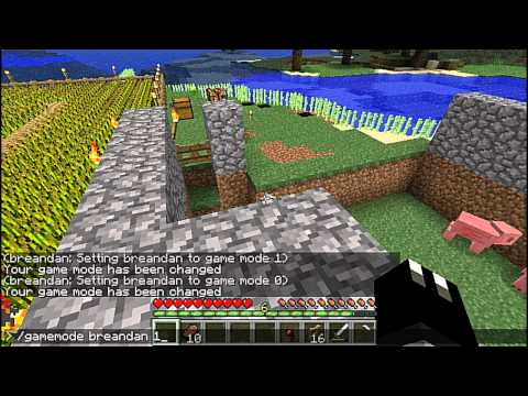 Minecraft how to change to creative mode on servers