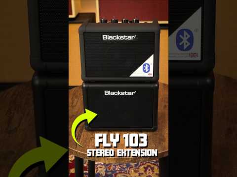 BLACKSTAR FLY 3 CHARGE MINI AMP - small size HUGE SOUND!!!