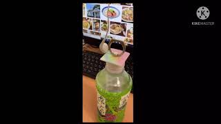 綾鷹釣ってみた