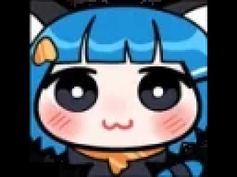 yap【Poko Rakun】