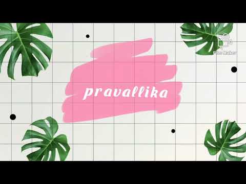 My introduction video | welcome to my channel | pravallika lakshmi |