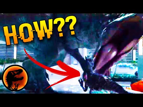 Why Indominus Rex DIDNT KILL the Velociraptor ECHO & I can PROVE IT!