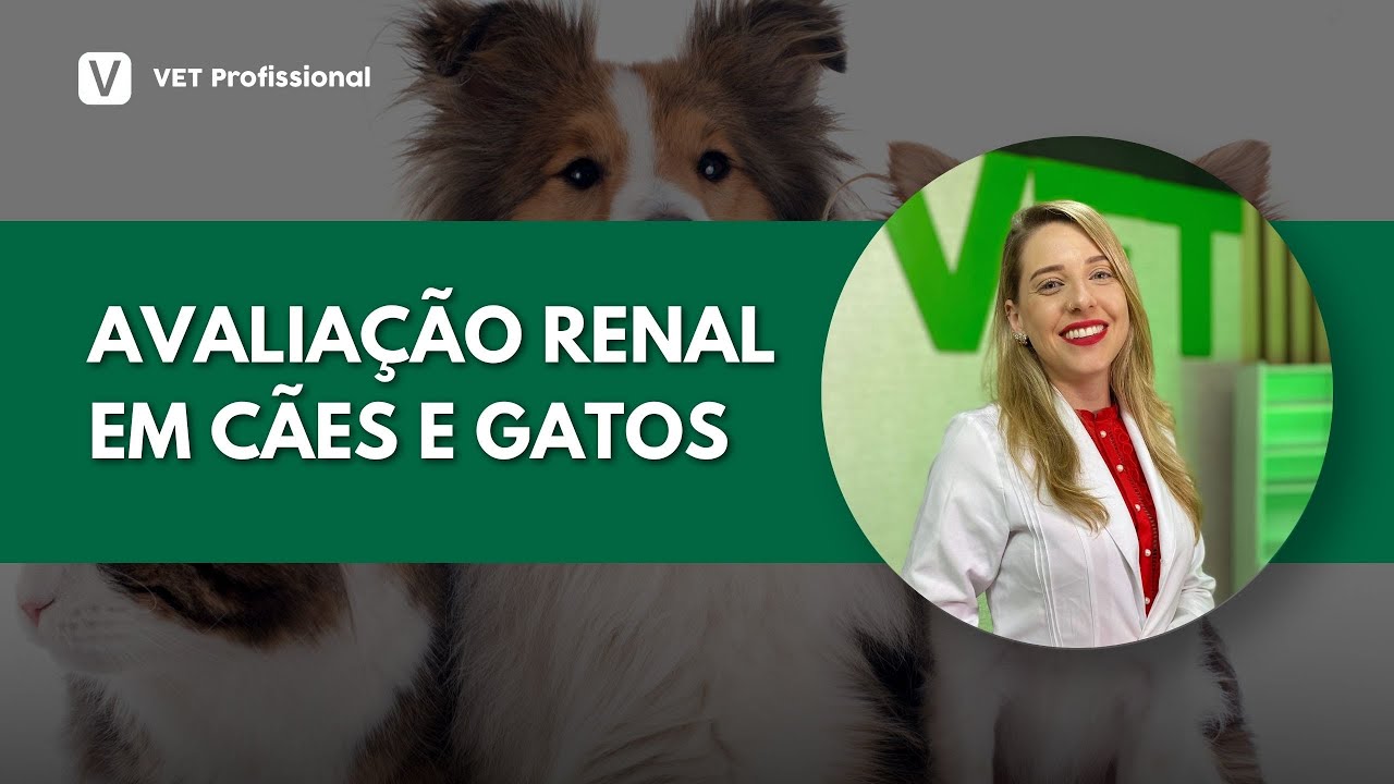 Exame Bioquímico: Avaliação Hepática em Cães e Gatos
