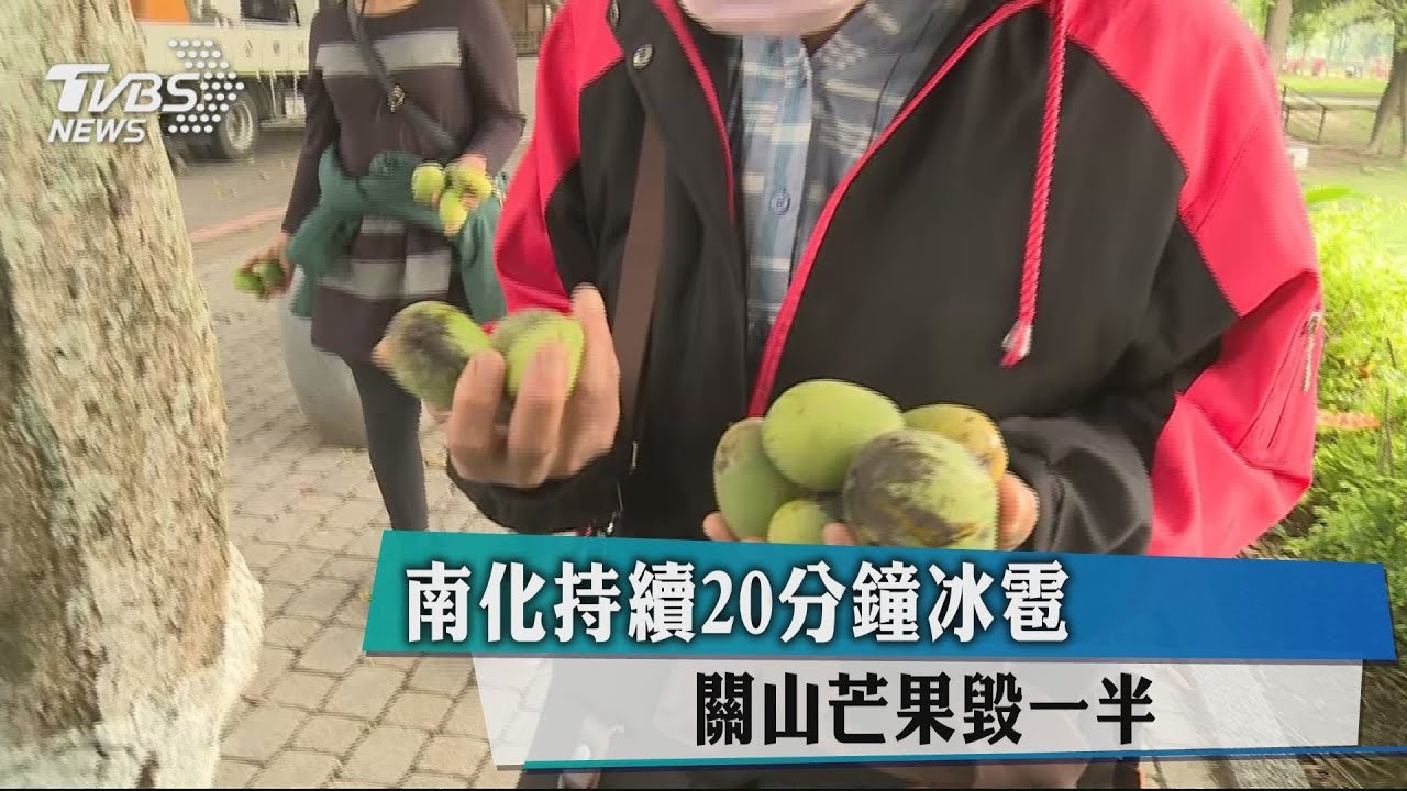 南化持續20分鐘冰雹 關山芒果毀一半