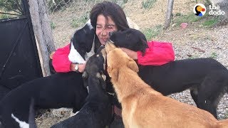Woman Gives Up Everything To Save All The Stray Dogs | The Dodo